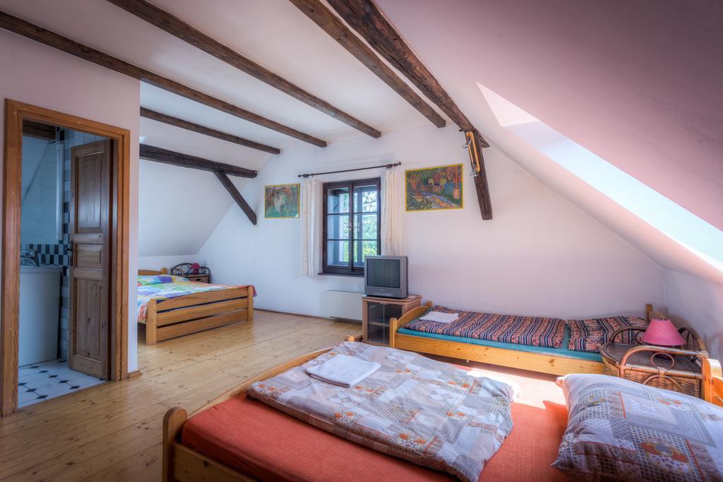 Penzion U Dracice Hotell Nová Bystřice Eksteriør bilde